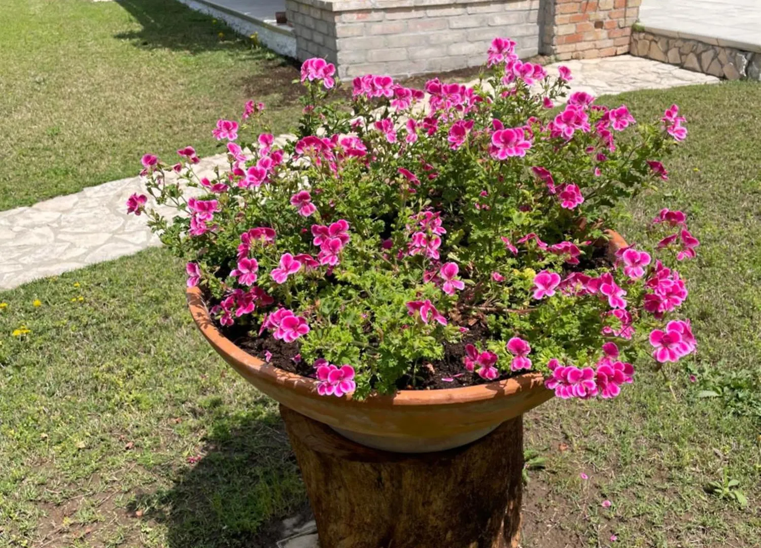 Villa Amantea Санта-Маргерита-ди-Пула 0*,